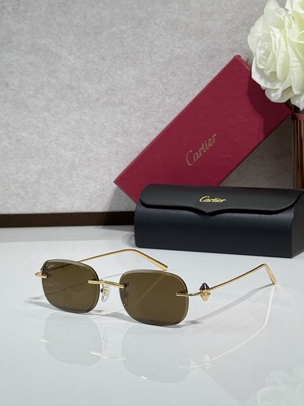 Cartier Glasses smr193